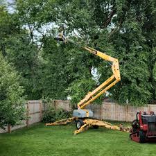 Best Lawn Pest Prevention  in Coronado, CA